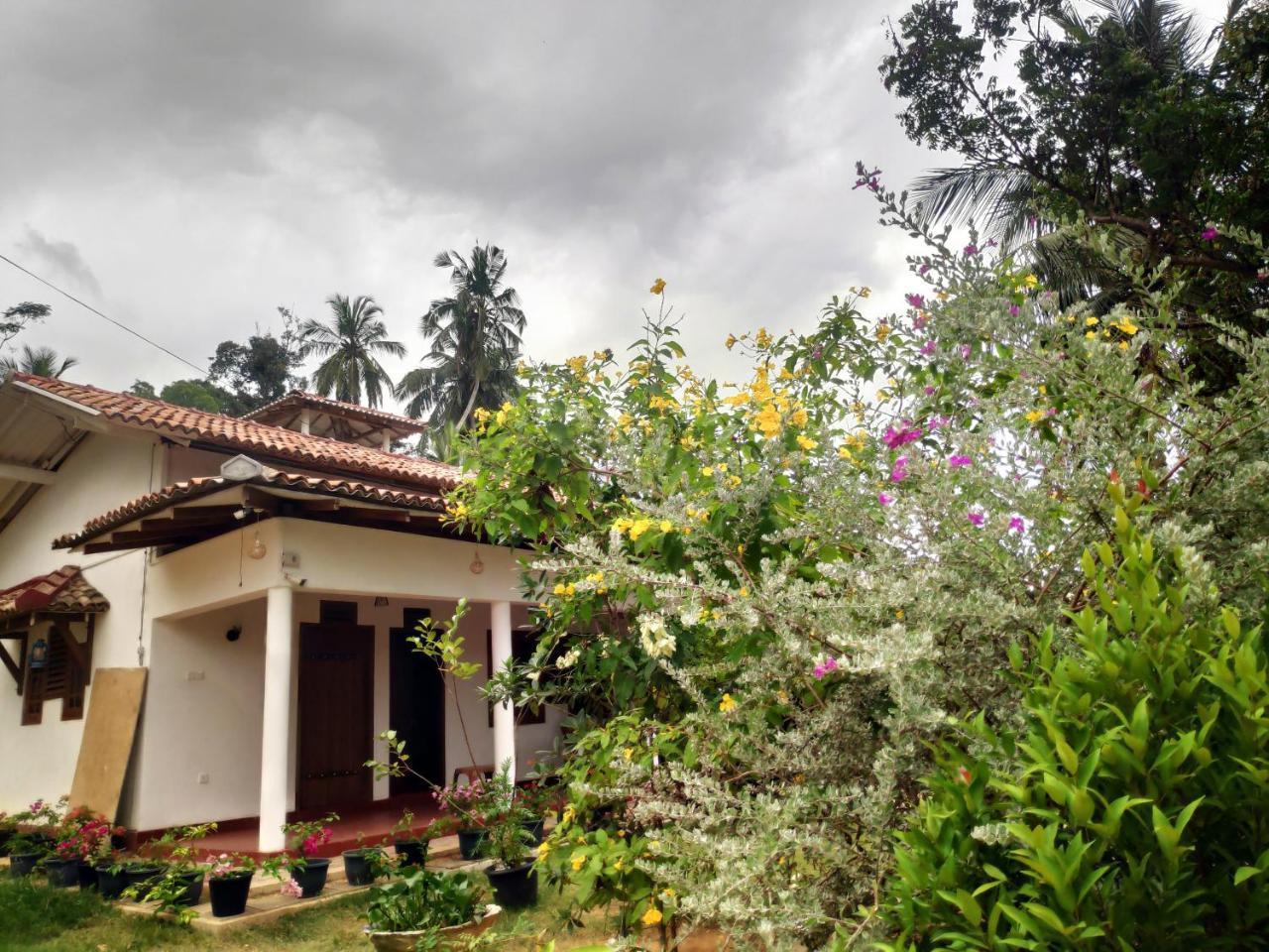 Cinnamon House Hiriketiya Dikwella Dış mekan fotoğraf