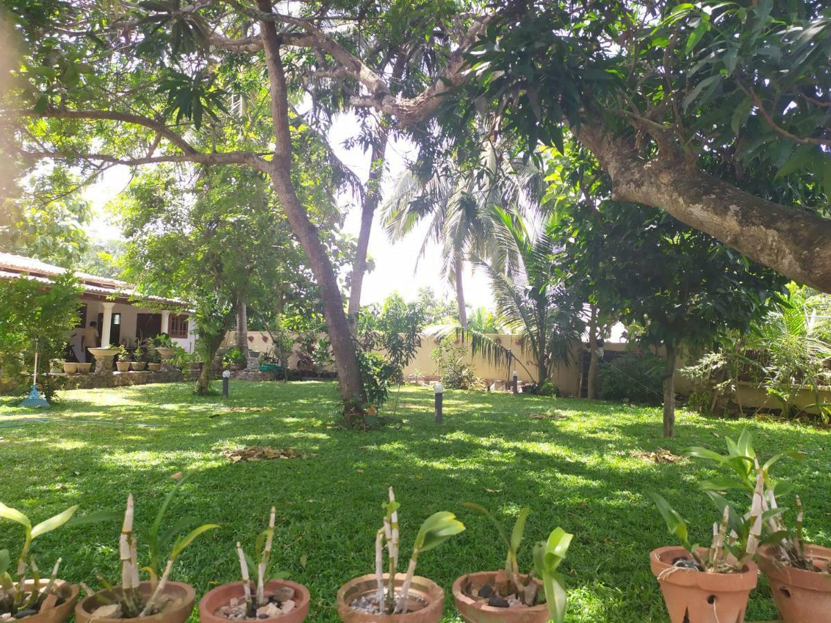 Cinnamon House Hiriketiya Dikwella Dış mekan fotoğraf